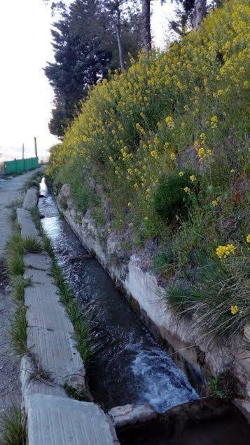 La Casa De La Acequia Pensionat Serón Eksteriør billede