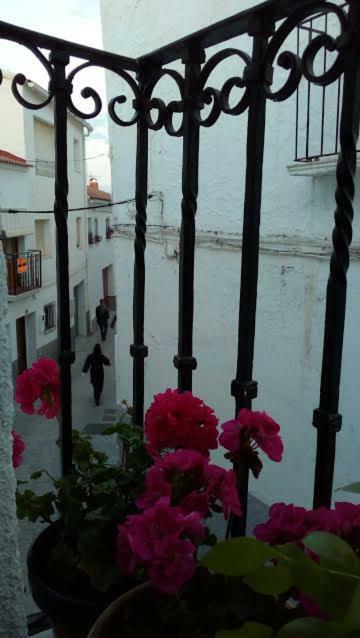 La Casa De La Acequia Pensionat Serón Eksteriør billede