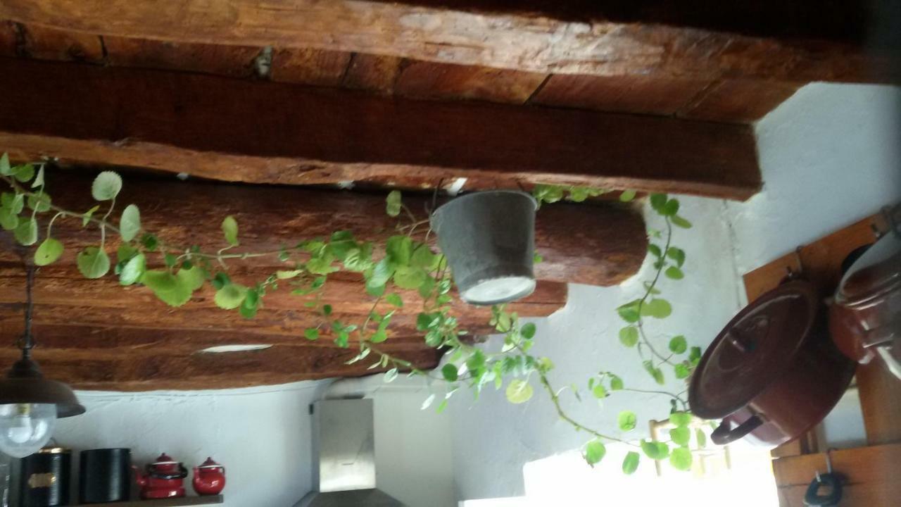 La Casa De La Acequia Pensionat Serón Eksteriør billede